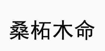 桑拓木命的男人命运如何_桑拓木命的男人好不好