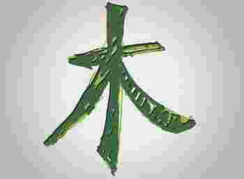 喜用神为木怎么旺自己_喜用神为木的人特点