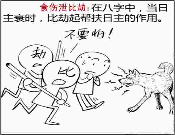 食伤泄比劫