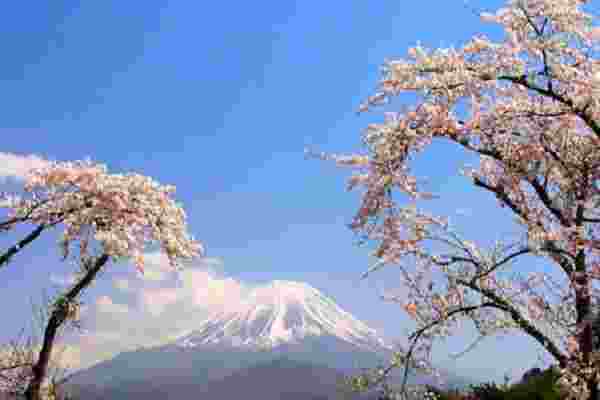 公司风水布局_公司风水布局怎样招财