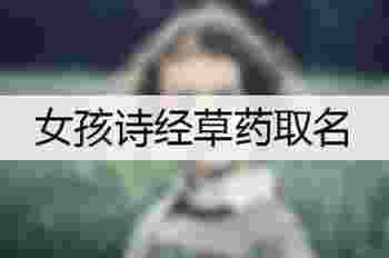 草药好听稀少的名字_中草药取名注意点