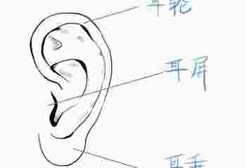 男孩耳朵上长拴马桩_拴马桩耳真的有福气吗-第3张-民俗文化-玉仓库