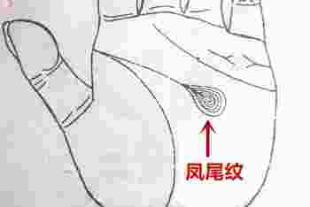 女人富贵命罕见手相凤尾纹图片_女人富贵命罕见手相凤尾纹是女强人