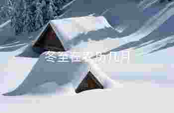 冬至在农历几月_冬至日是最冷的时候吗