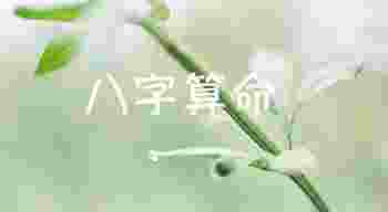 免费算一下自己的命运八字_免费算一下自己的命运五行