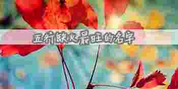 五行缺火最旺的名字女_五行缺火最旺的名字男孩