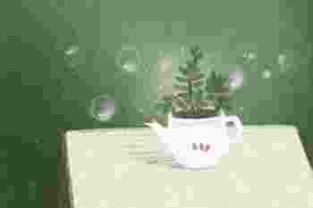 办公室花卉摆放风水_办公室花卉摆放图片