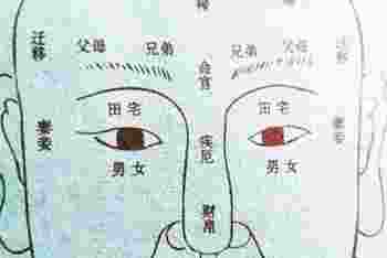 天上火命女人干什么事业好