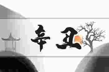 辛丑年是什么意思_辛丑年是哪一年