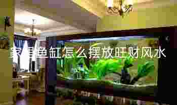 家里鱼缸怎么摆放旺财风水_鱼缸上面适合摆放什么招财