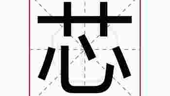 芯字五行属什么_芯字五行属什么和意义取名