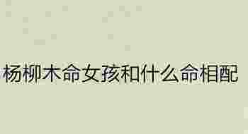 杨柳木命女孩和什么命相配_杨柳木命男孩和什么命相配