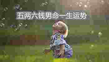 五两六钱男命一生运势_五两六钱男命详细解释袁天罡