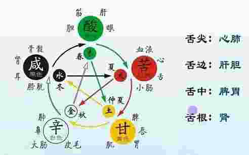 阴阳五行象义全集