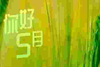 五月十二日是什么日子_农历五月十二日是什么日子