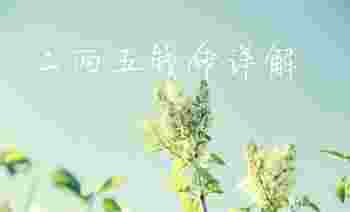 二两五钱命详解_二两五钱命格