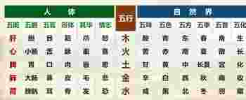 五行对应五脏六腑的关系_五行对应五脏六腑图-第2张-民俗文化-玉仓库