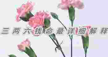三两六钱命最详细解释_三两六钱命详解一生