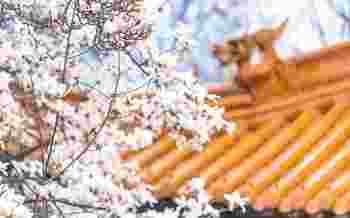 十二长生代表什么意思_十二长生衰是什么含义