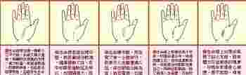 生命线分叉有哪些_生命线分叉20种图解-第4张-民俗文化-玉仓库
