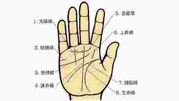 手相图解大全清晰图_手相图解大全-第2张-民俗文化-玉仓库