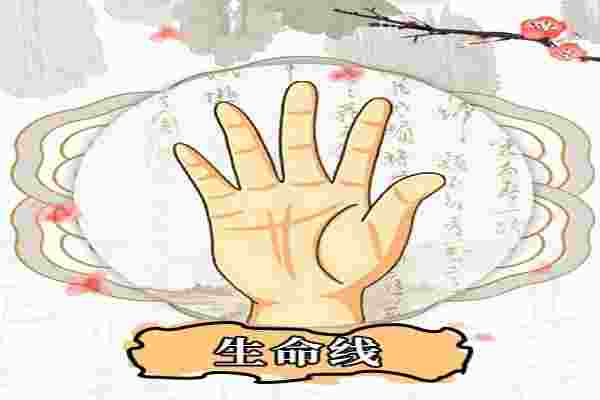 看手相算命图解大全有哪些？