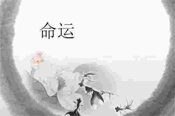 交大运的命理特征