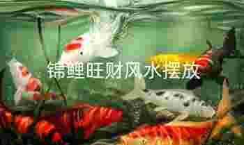 锦鲤旺财风水摆放_锦鲤风水摆放要注意什么