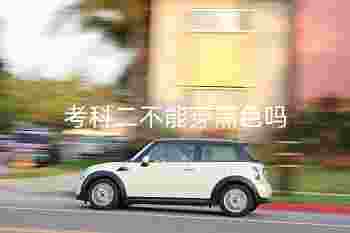 驾考穿衣颜色***吉利_考科二不能穿黑色吗-第2张-民俗文化-玉仓库
