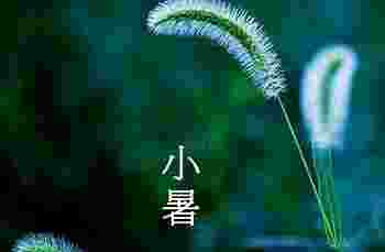 小暑节气种什么农作物_小暑种玉米迟不迟