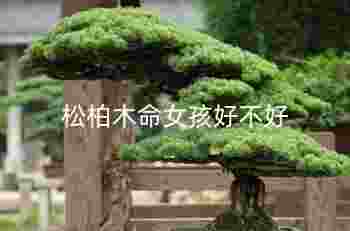 松柏木命女孩好不好_什么命最旺松柏木