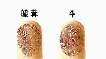 女人手指斗簸箕看命运_手指斗簸箕看命运准吗