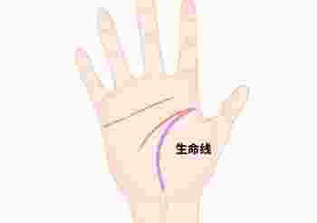 女人的生命线是哪一条_左手生命线是哪一条