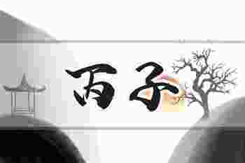 丙子年是什么意思_丙子年是哪一年
