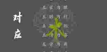 木命人五行缺啥_木命人五行缺啥取什么名字好