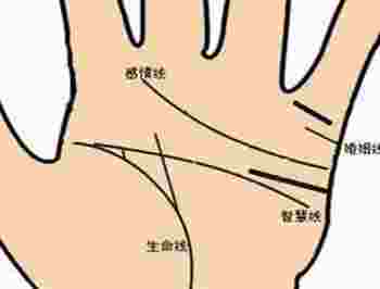 感情线怎么看_情感线手相两条感情线代表什么