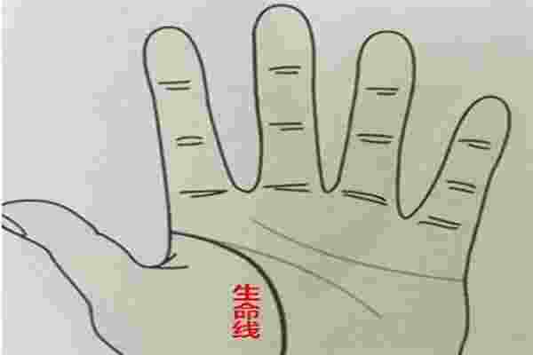 生命线分叉有哪些_生命线分叉20种图解