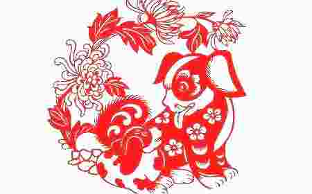 属相与楼层的选择-第12张-民俗文化-玉仓库