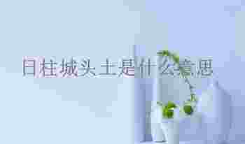 日柱城头土是什么意思_日柱城头土是什么命