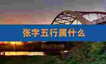 张字五行属什么_张字五行属什么土还是金