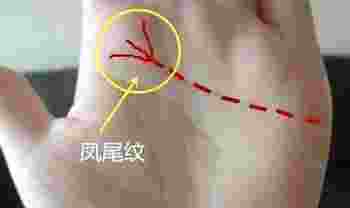 女人富贵命罕见手相凤尾纹和树杈有何区别_女人富贵命罕见手相凤尾纹在那里