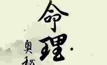 八字从官格局好吗_八字从官格女命特点