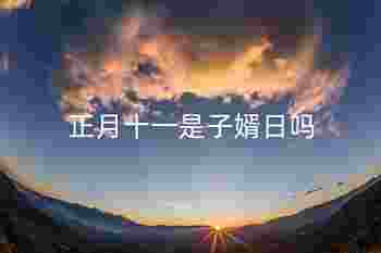 正月十一是子婿日吗_正月十一有什么说法