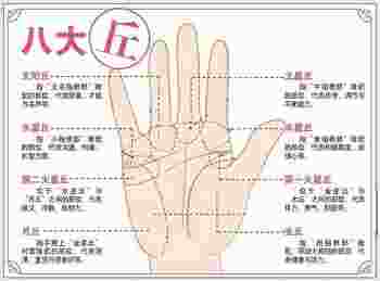 看手相算命图解免费_看手相算命图解女性