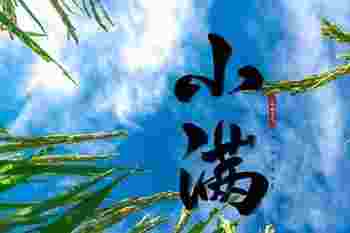 小满节气艾灸哪最好_艾灸为什么要讲究节气灸