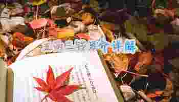 五两三钱男命详解_五两三钱男命太惨了