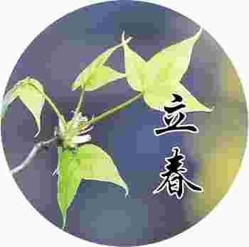 立春开始算本命年吗_今年立春有什么讲究和禁忌-第2张-民俗文化-玉仓库
