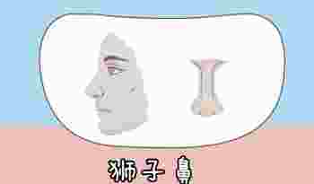 狮子鼻的女生面相怎么样啊_狮子鼻的女人好不好嫁