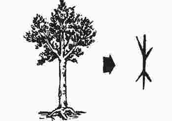 五行补木最强的字_五行补木最强的字有哪些