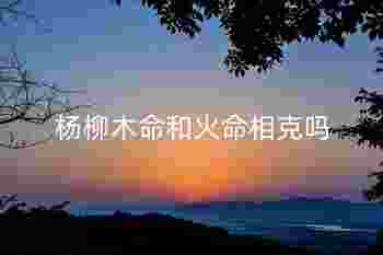 杨柳木命和火命相克吗_杨柳木怕遇到什么命